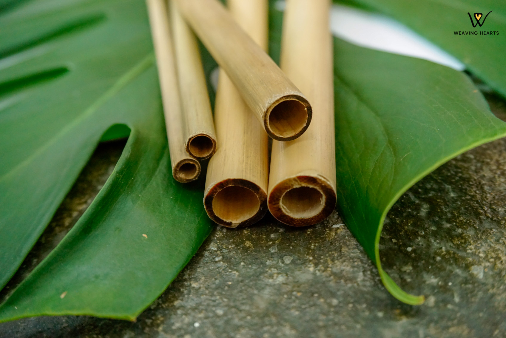 Single Straw - Image 2